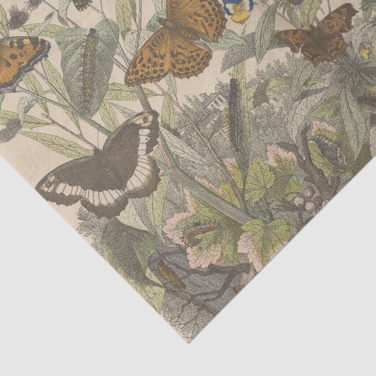 Antiek Botanische  Vlinder Decoupage Tissuepapier (Detail)