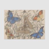 Antiek Botanische  Vlindervlinder Decoupage Tissuepapier (Voorkant)