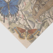 Antiek Botanische  Vlindervlinder Decoupage Tissuepapier (Detail)