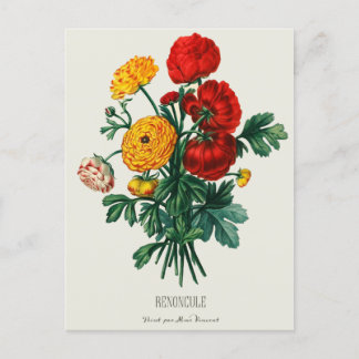 Antiek Bouquet, rode en gele Ranunculus Flowers Briefkaart