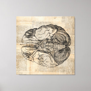 Antiek breindiagram Oude Fashioned Art Canvas Afdruk