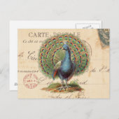 antiek briefkaart (Voorkant / Achterkant)