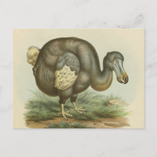 Antiek Briefkaart van Dodo Bird Natural History