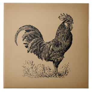 Antiek bruine rooster, illustratie Chicken Art Tegeltje