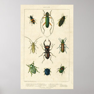 Antiek bundel op oud papier poster