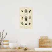 Antiek bundel op oud papier poster (Keuken)