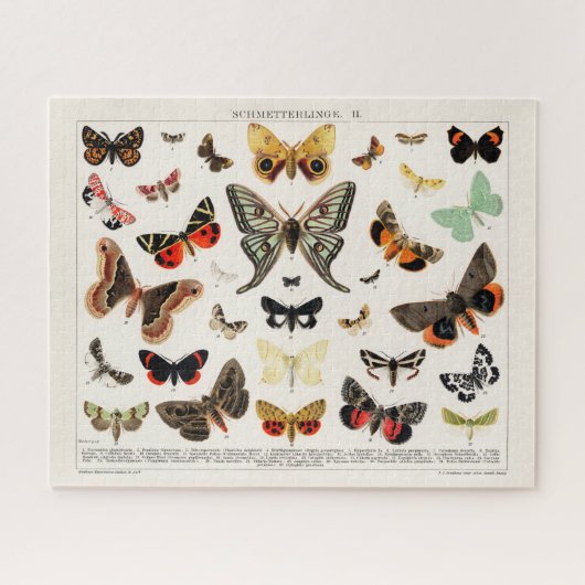 ANTIEK BUTTERFLES EN MOTH LITHOGRAPH LEGPUZZEL (Horizontaal)