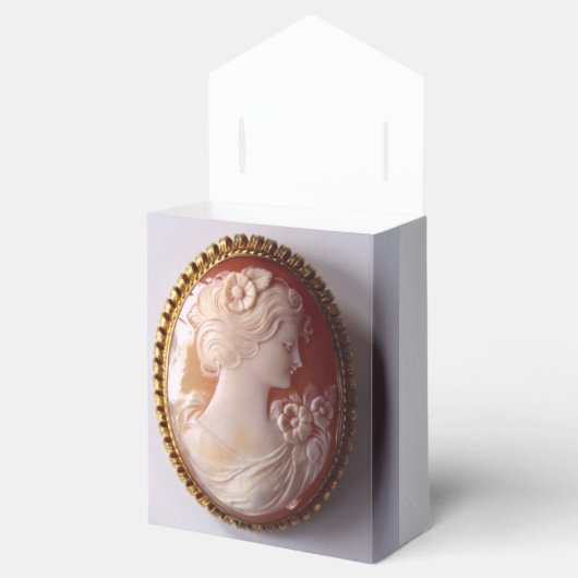 Antiek Cameo Bedankdoosjes (Geopend)