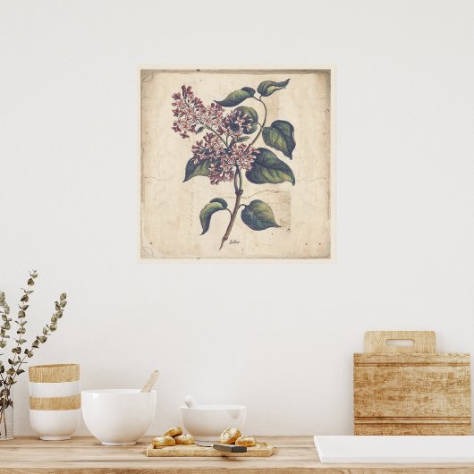 Antiek chemicaliën Druk Poster Lila bloemen af (Keuken)