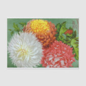 Antiek Chrysanthemum Giants Weefpapier Tissuepapier (Voorkant)