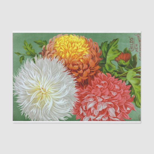 Antiek Chrysanthemum Giants Weefpapier Tissuepapier (Voorkant)