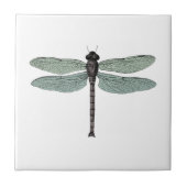 Antiek Damselfly  Dragonfly Insect Tekening Tegeltje (Voorkant)