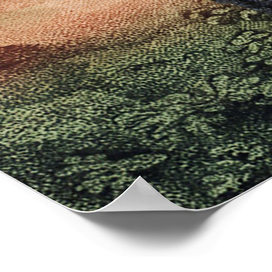 Antiek dieren Oerwoud afdrukken Poster (Hoek)