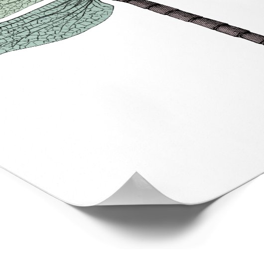 Antiek  dragonfly-trektekening Typografisch Poster (Hoek)