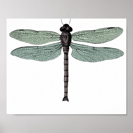 Antiek  dragonfly-trektekening Typografisch Poster (Voorkant)