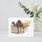 Antiek dromeary Camel Illustration Briefkaart (Staand voorkant)