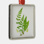 Antiek Fern print #11 Groene Natuur Botanische kun Metalen Ornament (Rechts)