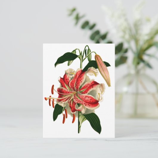 Antiek flesjes Roze en Witte Lily Briefkaart (Staand voorkant)