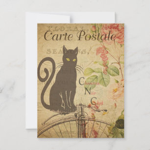 Antiek Frans Kat Briefkaart