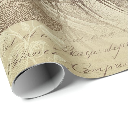 Antiek  Franse Mode Ephemera Script Cadeaupapier (Rol Hoek)