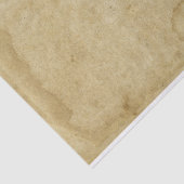 Antiek Gerijpt Gevlekt Grungy Blank Paper Tissuepapier (Detail)