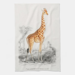 Antiek Giraffe Natuurhistorische Print Orbigny Theedoek