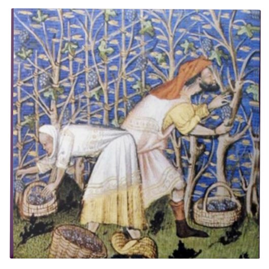 ANTIEK GRAPE VINEYARD HARVEST TEGELTJE (Voorkant)