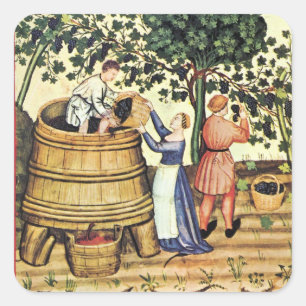 ANTIEK GRAPE VINEYARD HARVEST VIERKANTE STICKER