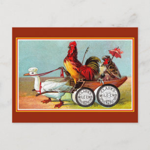 Antiek grappige kippen eendenspoel katoen briefkaart