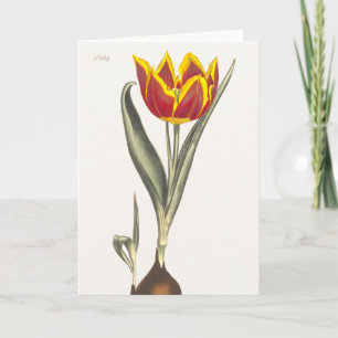 Antiek gravering van een Wenskaart met rode tulpen Kaart