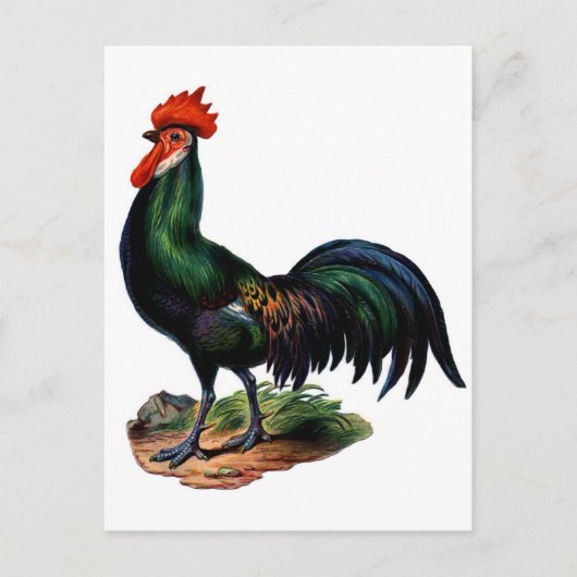 Antiek-Green-feestrooster Briefkaart (Voorkant)