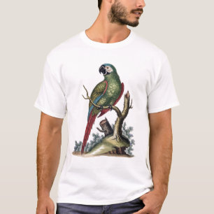 Antiek groene papegaai t-shirt