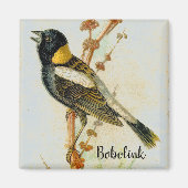 Antiek handgetekende Bobolink Vogelmagneet Magneet (Voorkant)