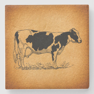 Antiek Holstein Cow Boerderij Animal Illustration Stenen Onderzetter