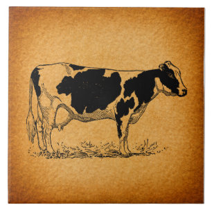 Antiek Holstein Cow Boerderij Animal Illustration Tegeltje