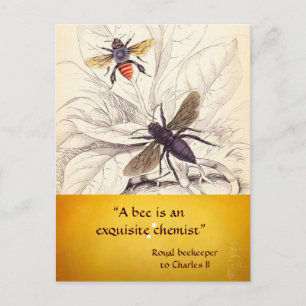 ANTIEK HONING BEEKEEPER , BEEKEEPEN BRIEFKAART