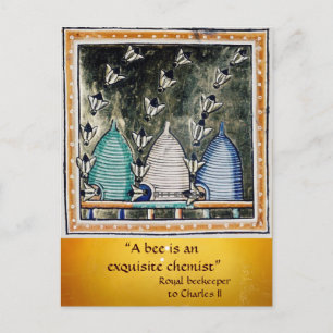 ANTIEK HONINGBIJEN BIJENKORVEN BIJENHOUDER ,BIJENT BRIEFKAART