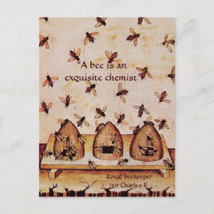 ANTIEK HONINGBIJENHOUDER ,BIJENTEELT BRIEFKAART