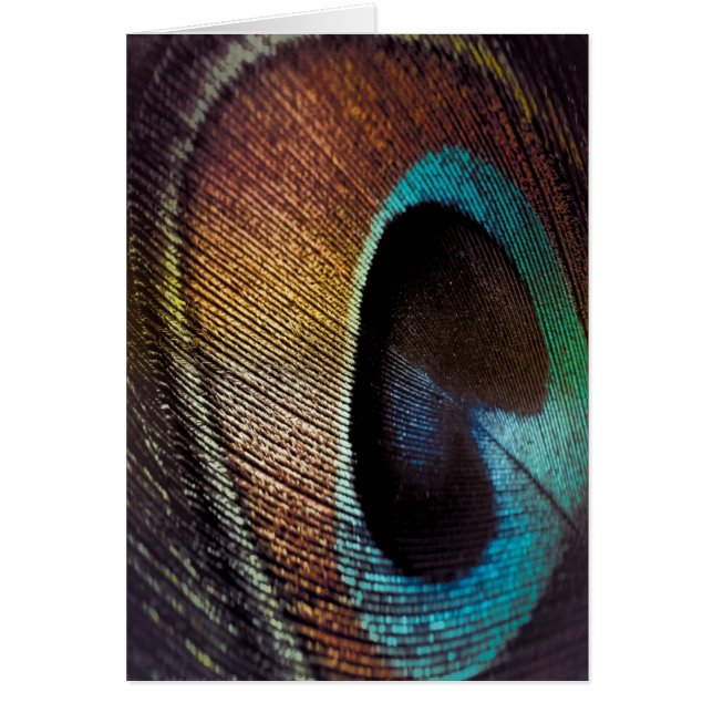Antiek Hues Peacock Feather Eye (Voorkant)