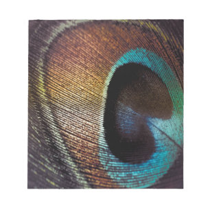 Antiek Hues Peacock Feather Eye Notitieblok