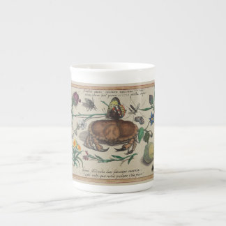 Antiek Joris Hoefnagel prints1500 insectenbloemen Porselein Kop