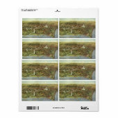 Antiek kaart, Panoramisch Uitzicht van Washington Etiket (Full Sheet)