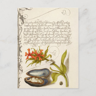 Antiek kalligrafietekst botanische illustratie po briefkaart