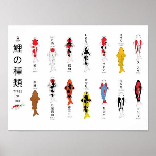 Antiek karper poster, handgeschilderd poster (Voorkant)