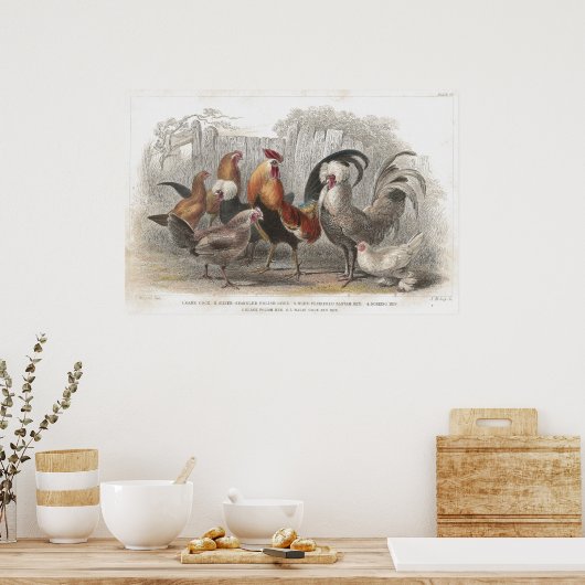 Antiek kippen- en hondenfotografie poster (Keuken)