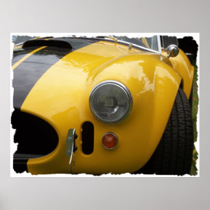 antiek klassiek show pic raw 015 poster