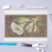 Antiek Klassieke Calla Lily Flower Tissuepapier (Craft)