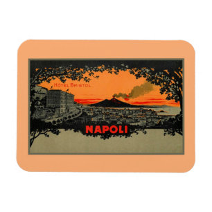 Antiek kleur litho Hotel Bristol Napels Napoli Magneet