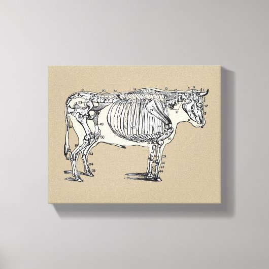 Antiek Koe Skeleton Botten Fun Canvas Afdruk (Voorkant)