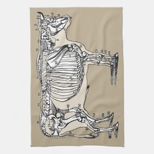 Antiek Koe Skeleton Botten Fun Theedoek (Verticaal)
